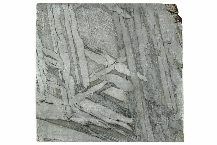 Etched Seymchan Meteorite Slice ( g) - Russia #313260